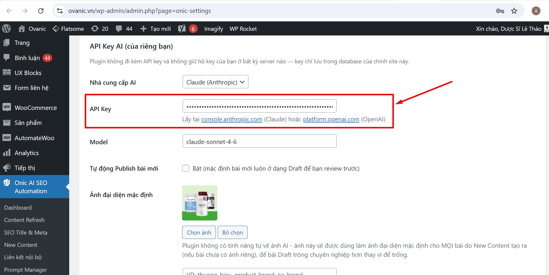 Dán API Key Claude vào Settings Onic AI SEO Automation — Bước 4 Dán API Key Claude vào Settings Onic AI SEO Automation — bước 4