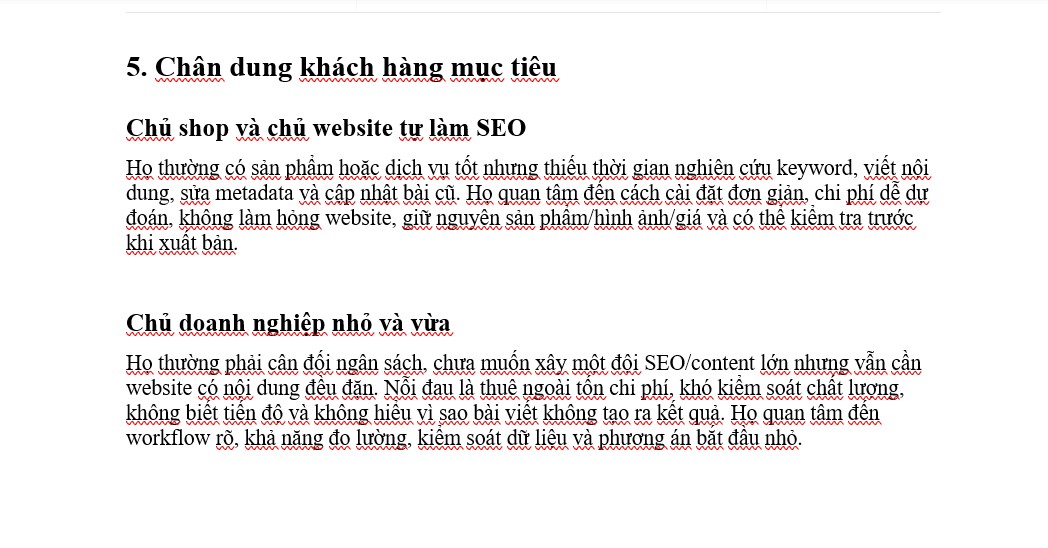 Chân dung khách hàng Chân dung khách hàng và pain point trong Brand Context