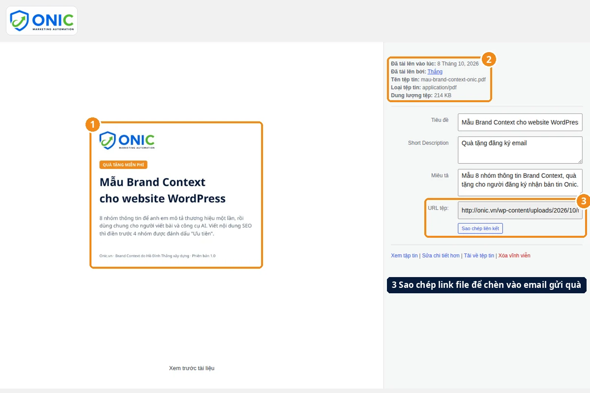 File quà tặng trong Thư viện File PDF mẫu Brand Context trong Thư viện Media WordPress