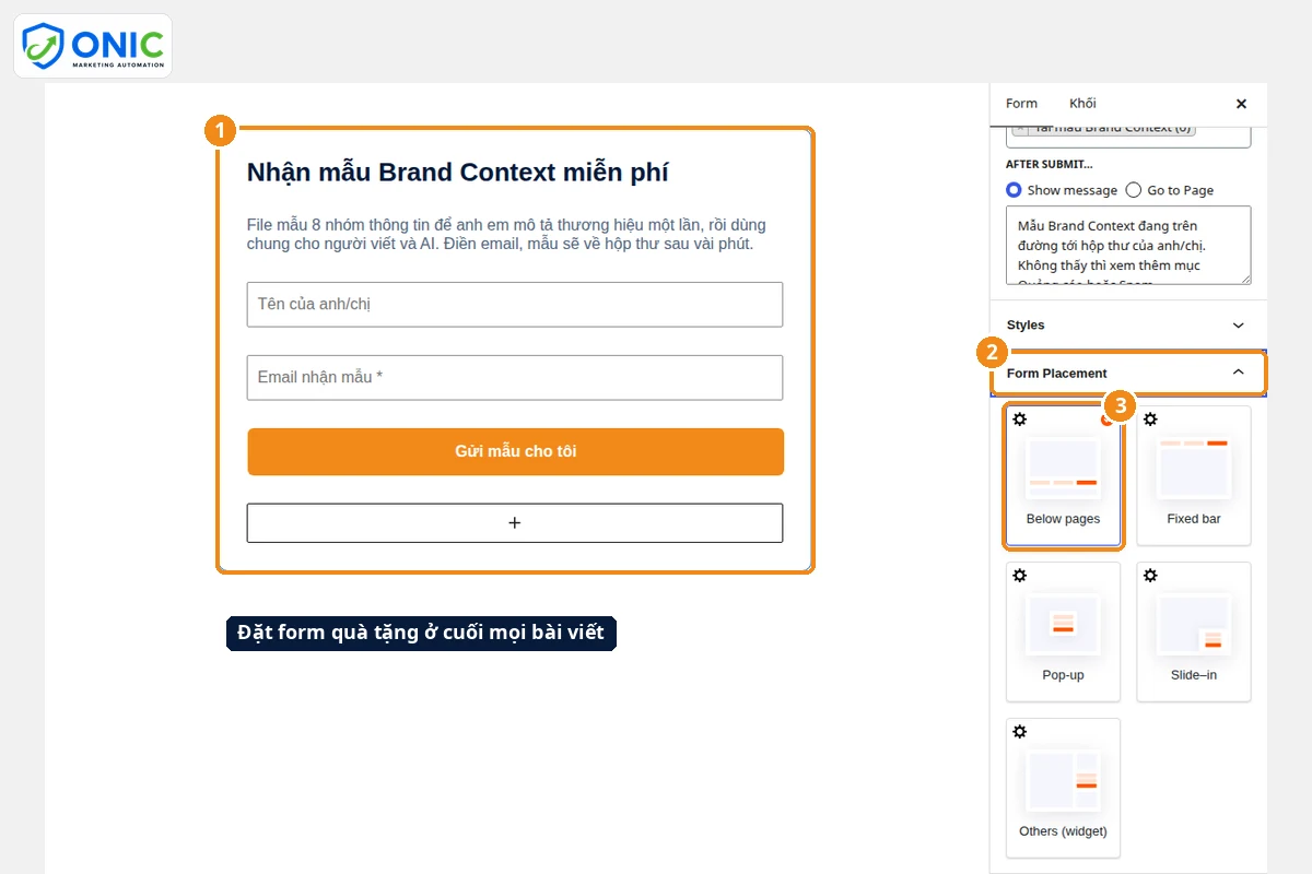 Đặt form ở cuối bài viết Chọn vị trí Below pages để đặt form quà tặng cuối bài viết