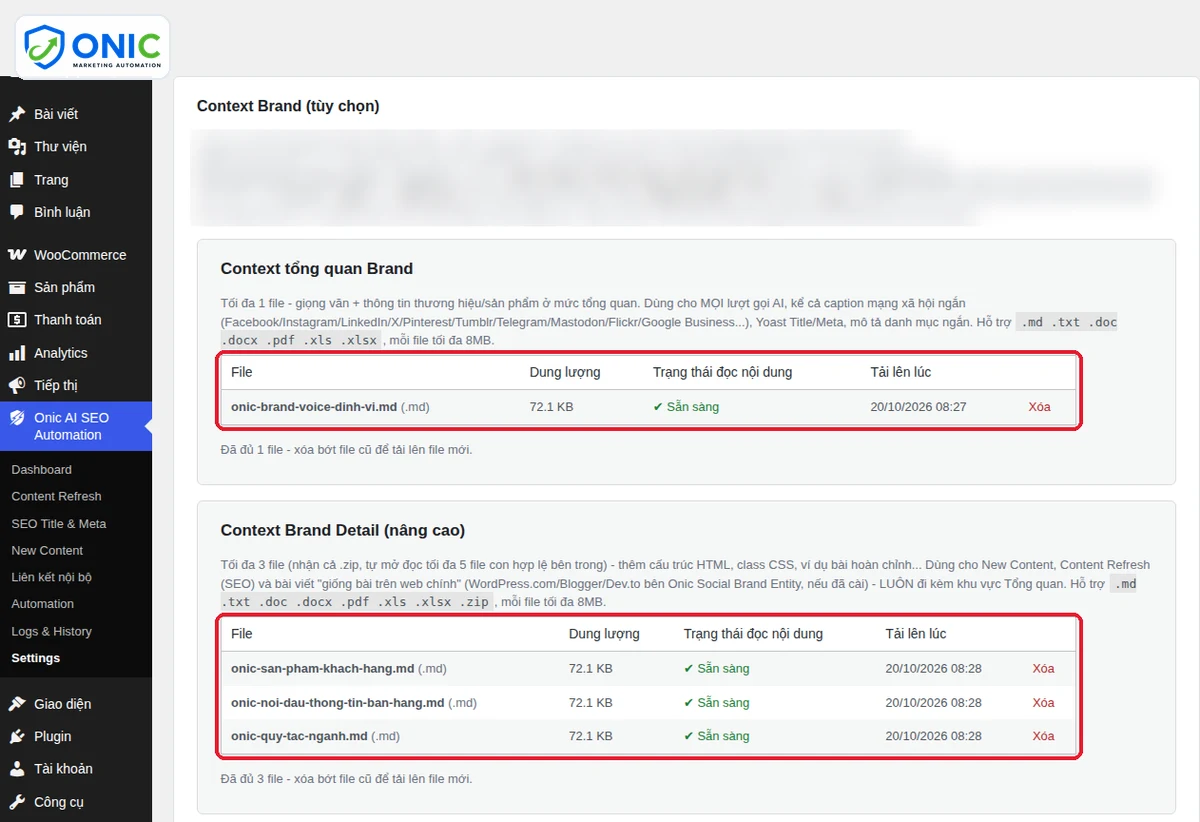 Tải file Brand Context Khối Context Brand với file đã tải lên ở trạng thái Sẵn sàng